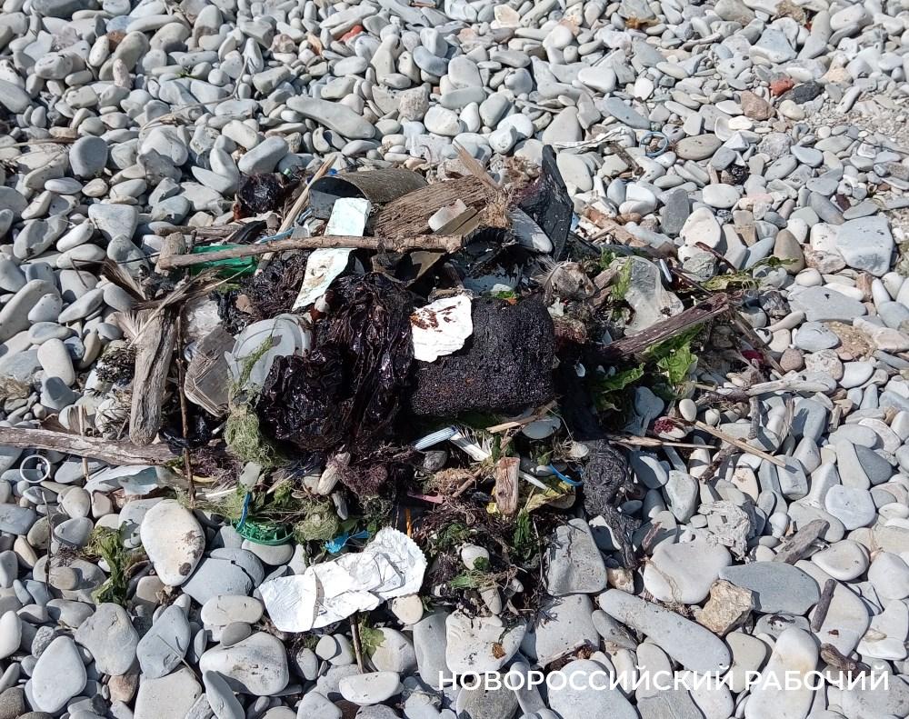 В Новороссийске на Волочаевском берегу снова обнаружили мазут