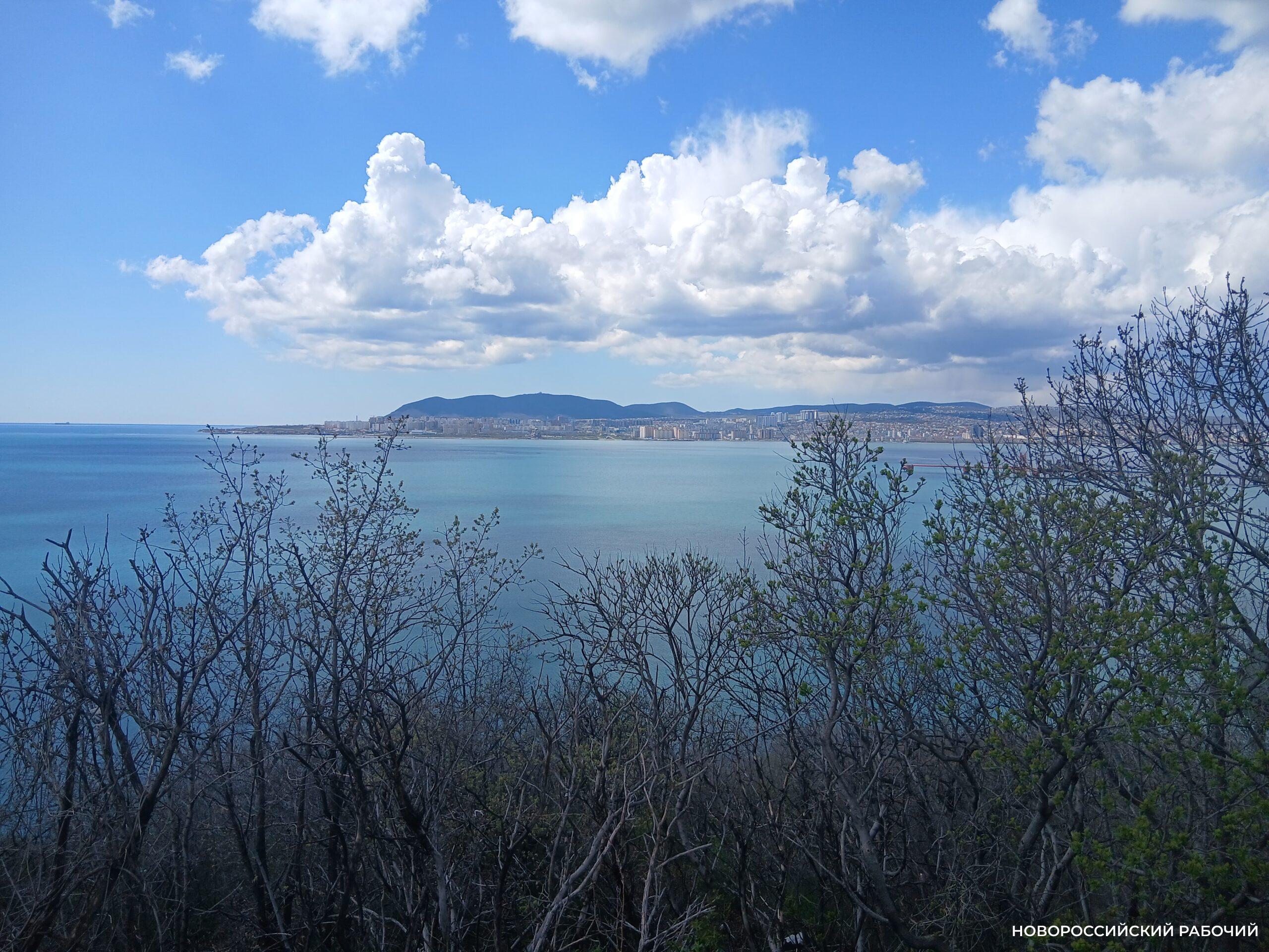 Совет дня на 26 апреля: максимально упростите работу