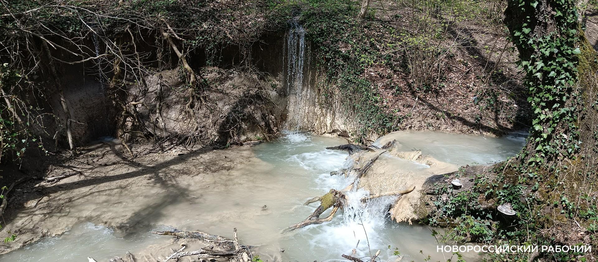 В Новороссийске весна вступает в свои права