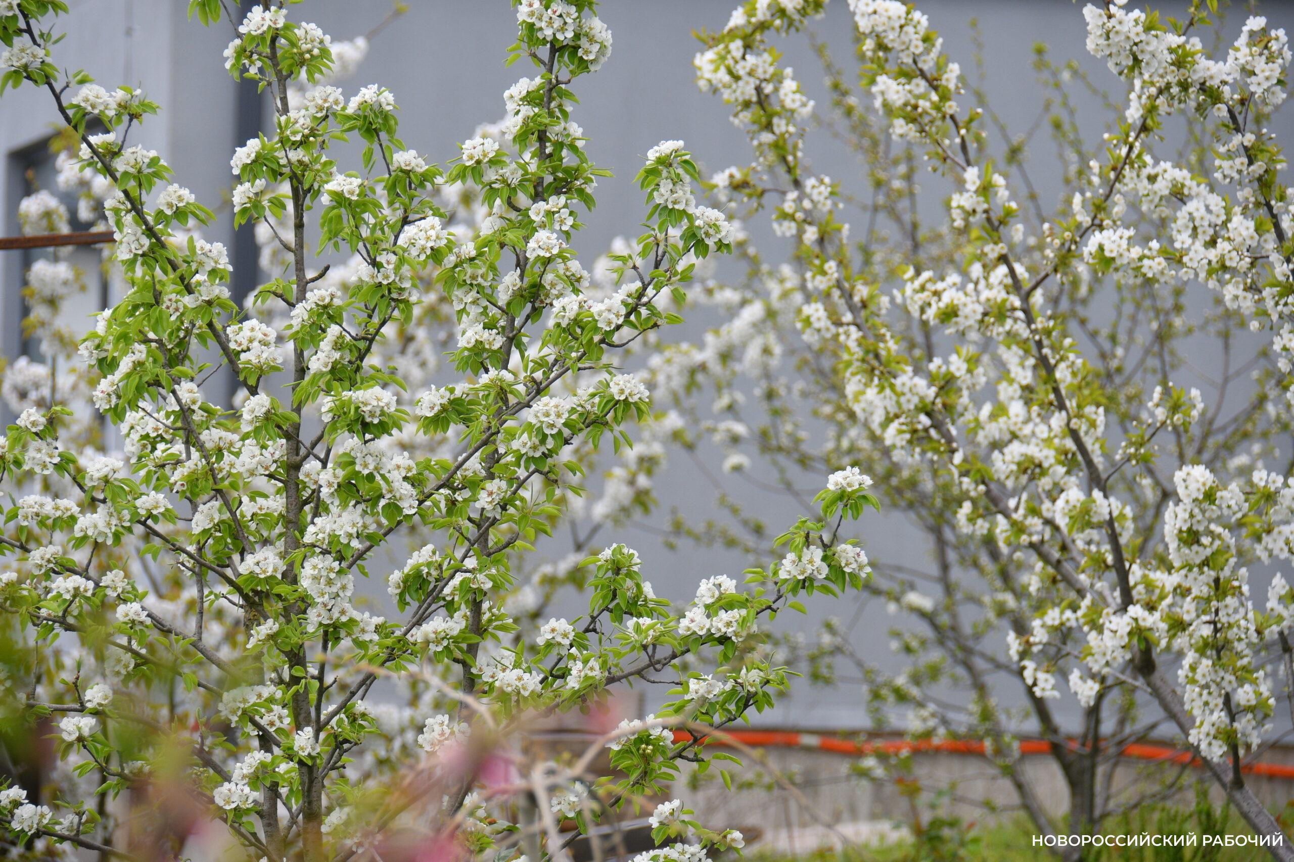 Совет дня на 21 апреля: чтобы выспаться — надо не встать попозже, а лечь пораньше!