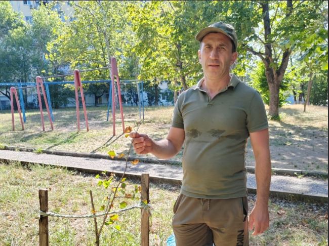 Новороссийский меценат Александр Рубцов дарит горожанам сотни редких деревьев