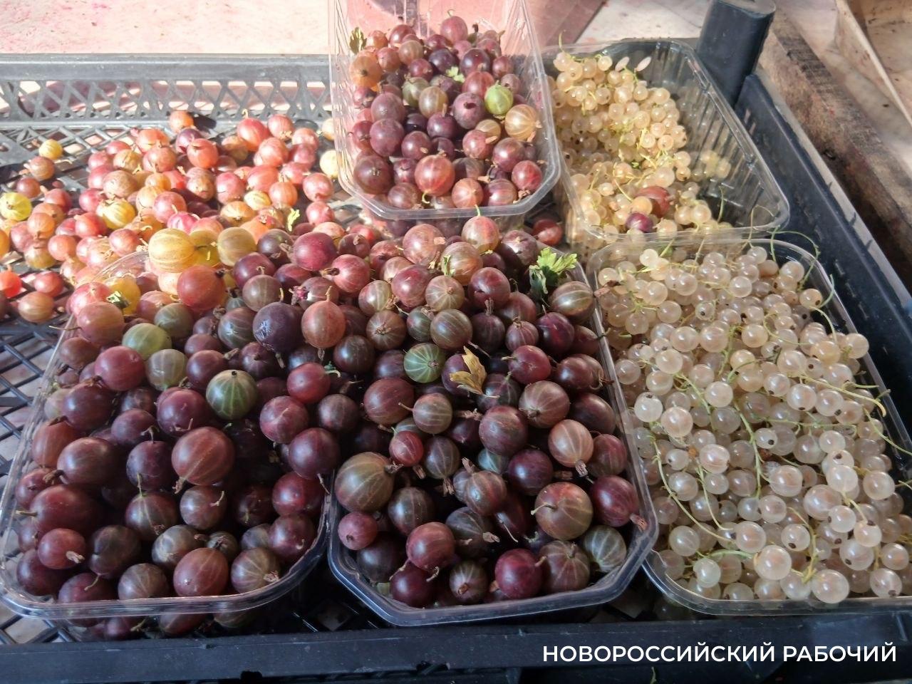 В Новороссийске начали снижаться цены на ягоды