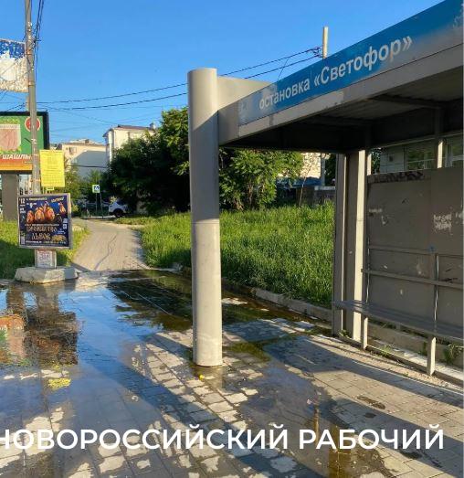 В Новороссийске на асфальте выросли … водоросли