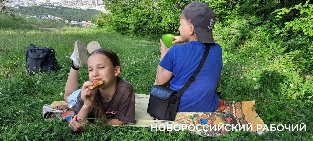 Дерево-медведь, молодильные родники, поляна наяд и каньоны. Куда пойти на выходные в Новороссийске