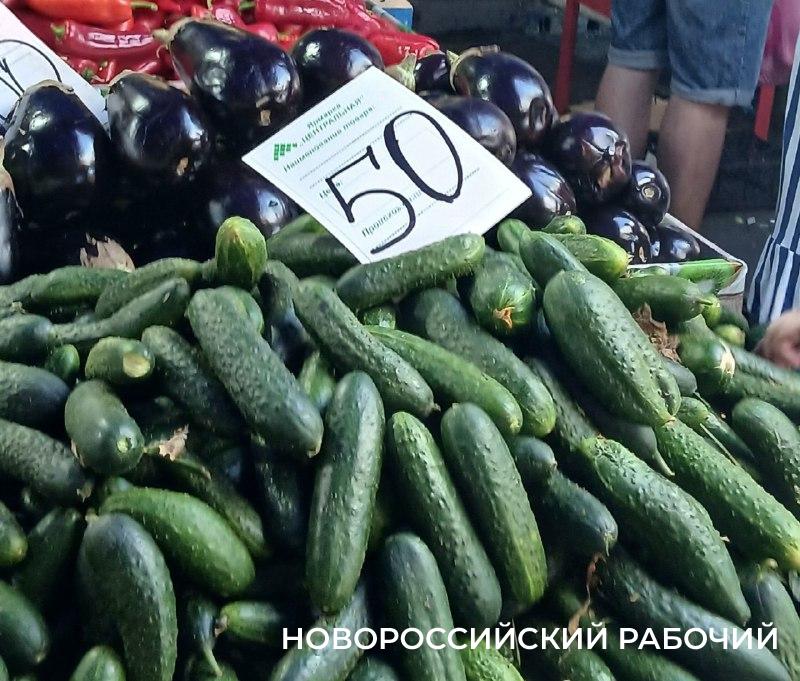 В Новороссийске наступает пора малосольных огурчиков