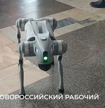 В Новороссийске показали собаку-робота, которая подает лапу и умеет обезвреживать опасные предметы