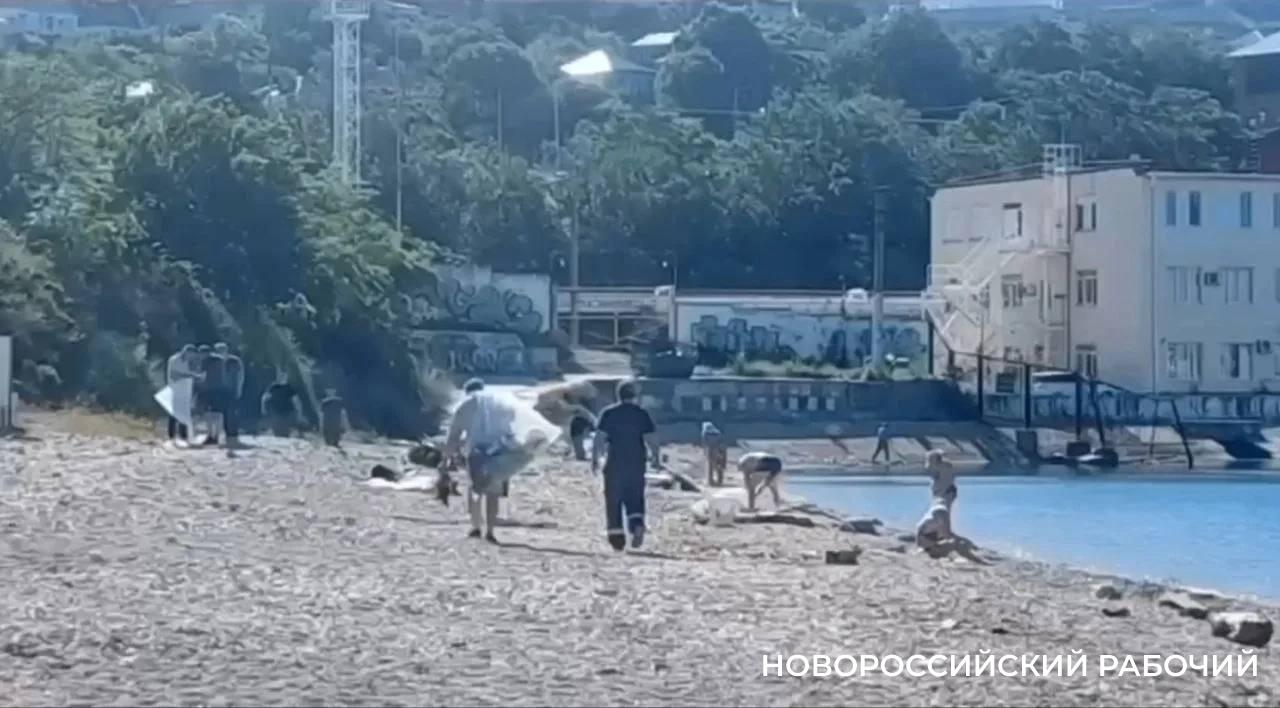 Жители Новороссийска приводят в порядок Волочаевский пляж