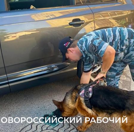 Пьяный житель Новороссийска избил чужую машину