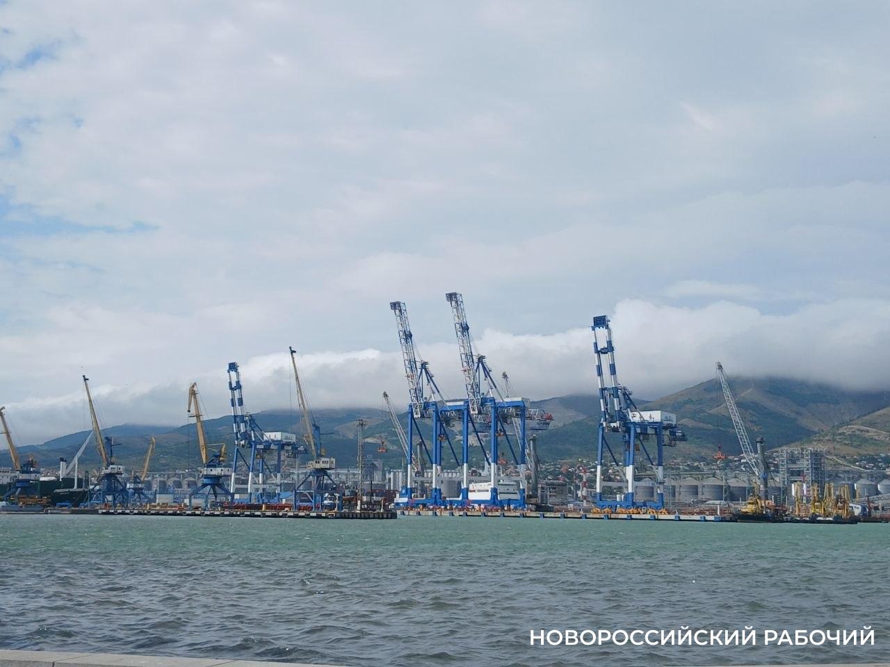 Через порт Новороссийска резко вырос экспорт пшеницы