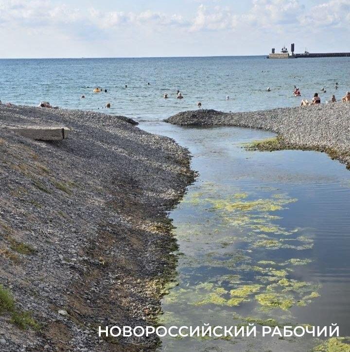 В Новороссийске спасают проран вручную: добровольцы вернутся к «народной» лопате?