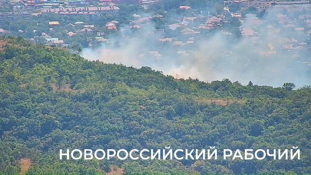 В пригороде Новороссийска тушат лесной пожар