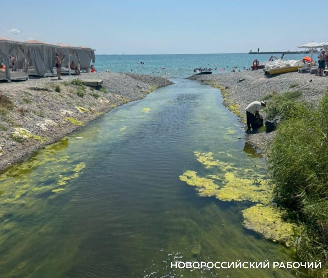 Проран в Суджукской лагуне Новороссийска открыт. Надолго ли это?
