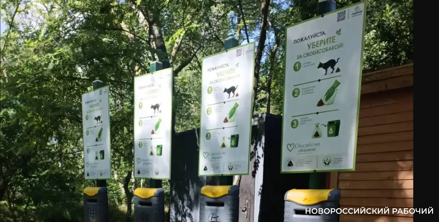 Пионерскую рощу очистят от собачьих «сюрпризов» — установлены специальные урны