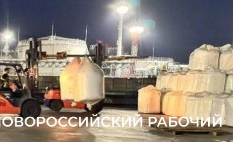 В Новороссийске докера оштрафовали за травму коллеги