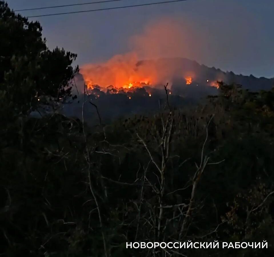 Площадь пожара в окрестностях Новороссийска увеличилась до 1,5 га