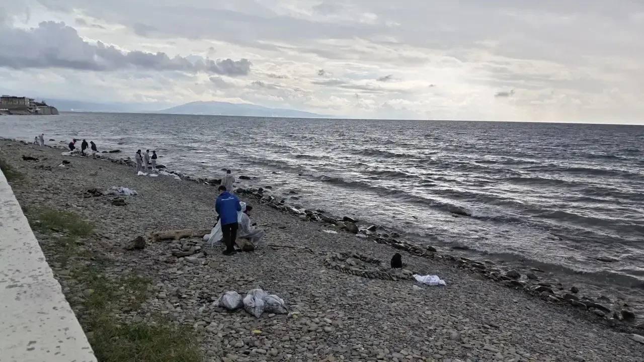 Берег Новороссийска очистили от мазута